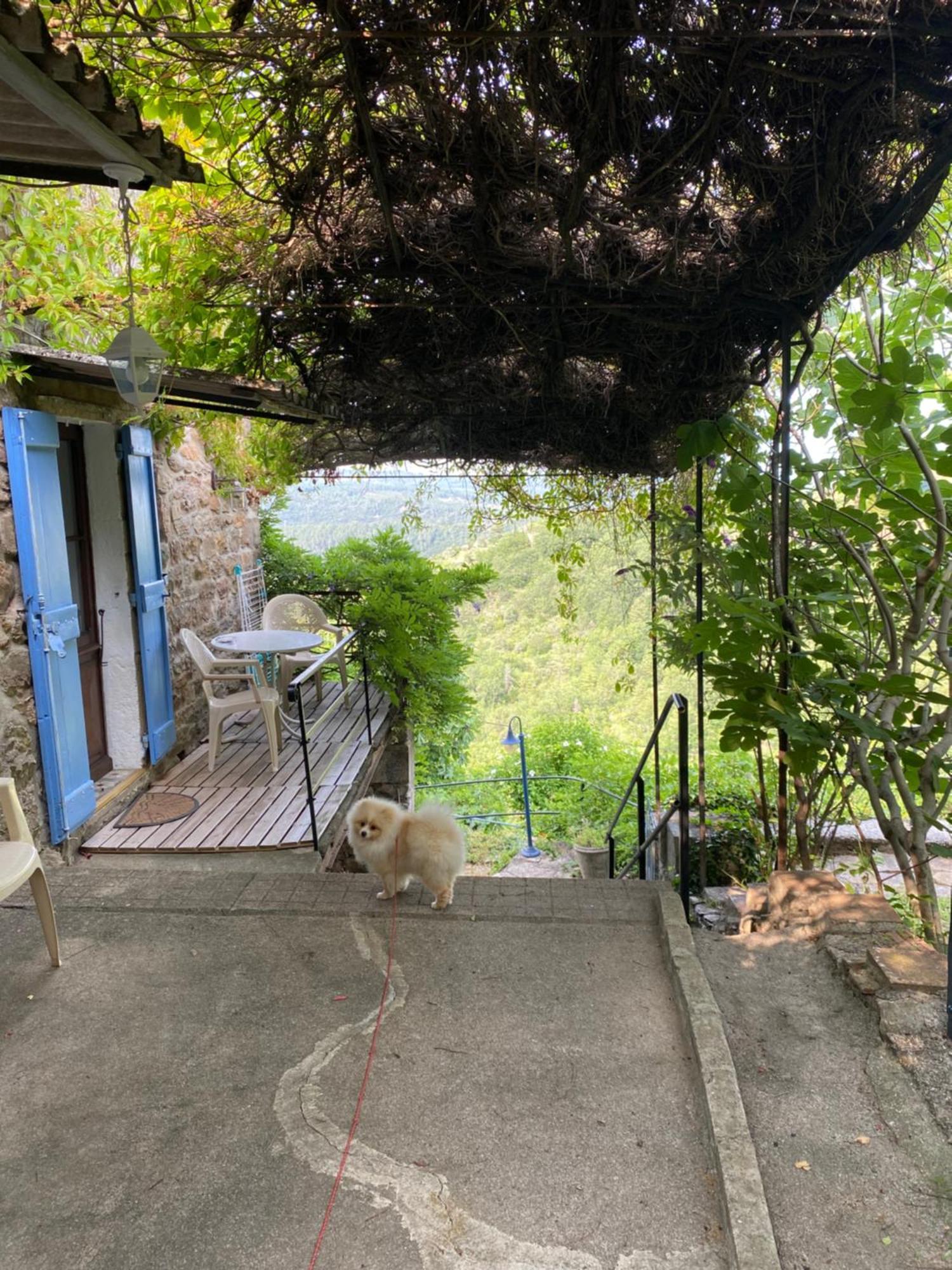 Lou-Pelou Vila Gravieres Exterior foto